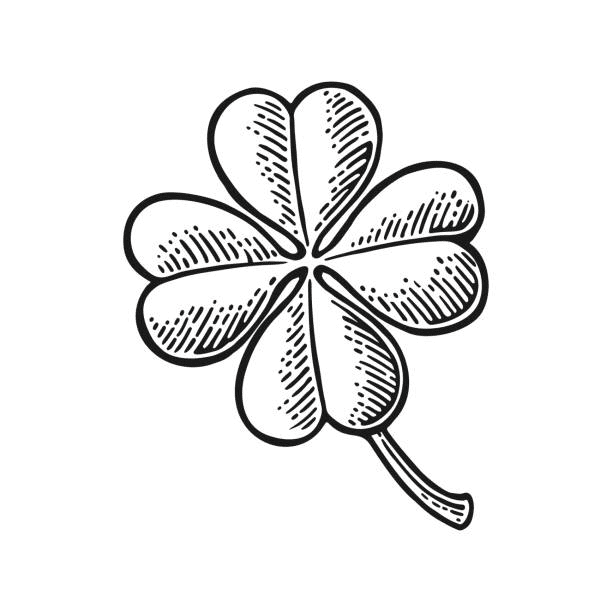 Four Leaf Clover Clipart Black and White 1