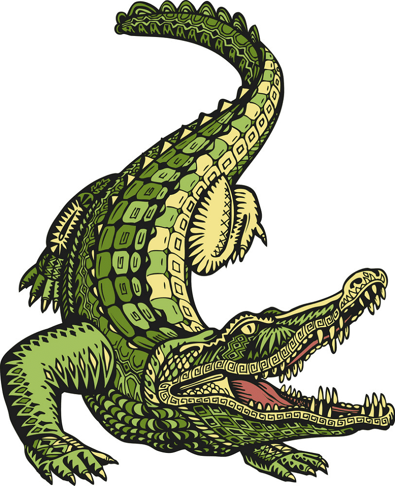 Free Alligator clipart 3