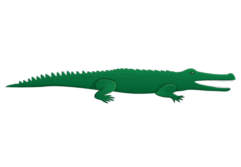 Free Alligator clipart 4