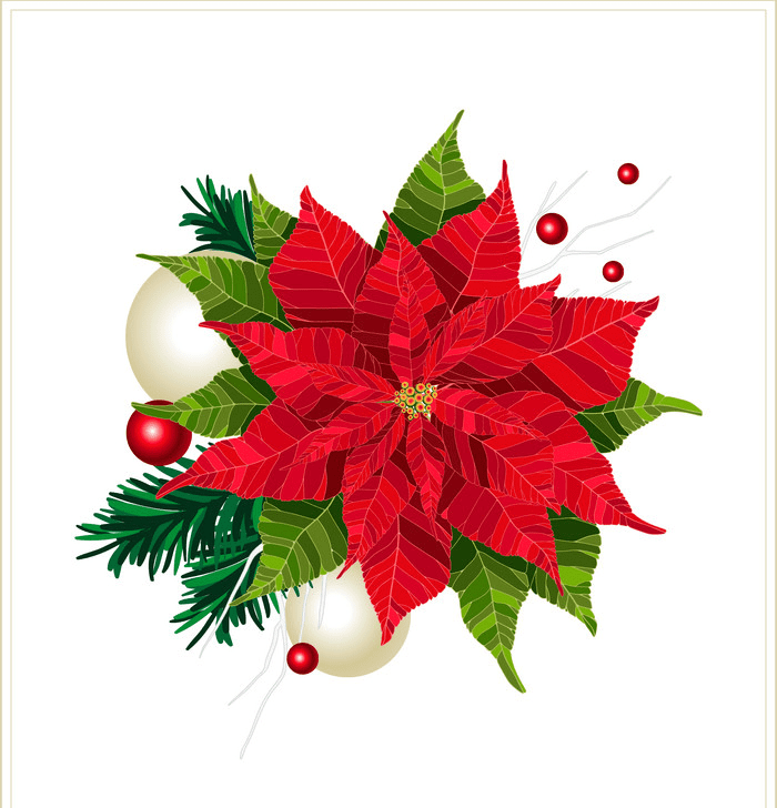 Free Christmas Poinsettia clipart png