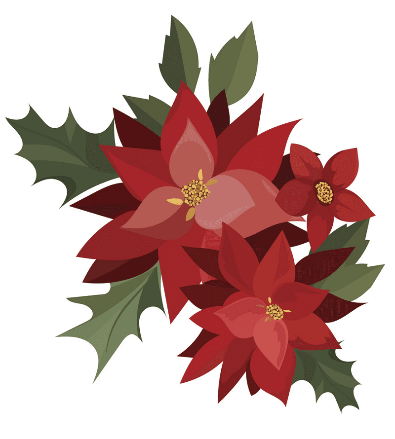 Free Poinsettia Flower clipart png