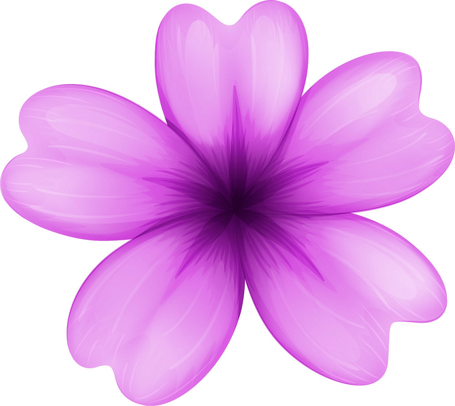 Lavender Flower clipart png