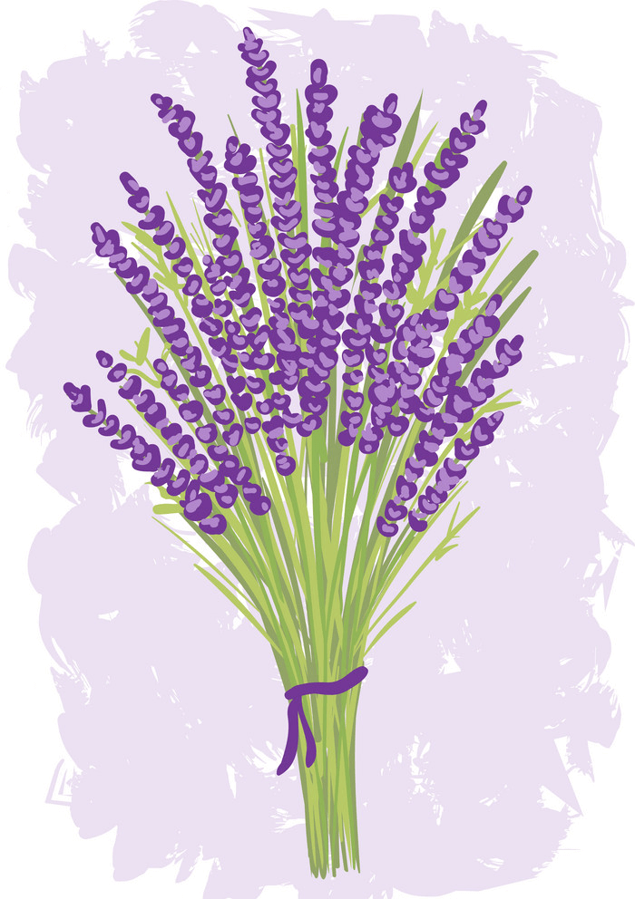 Lavender Clipart