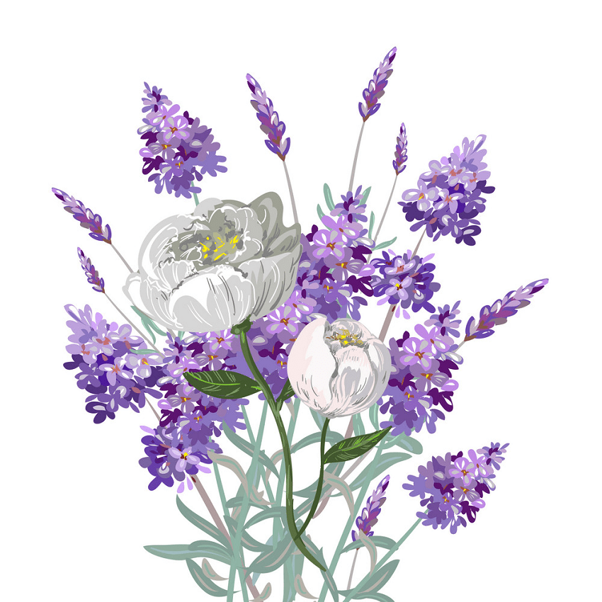 Lavender Sprig clipart