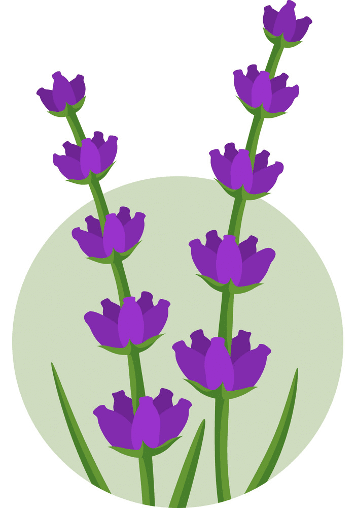 Logo Lavender clipart