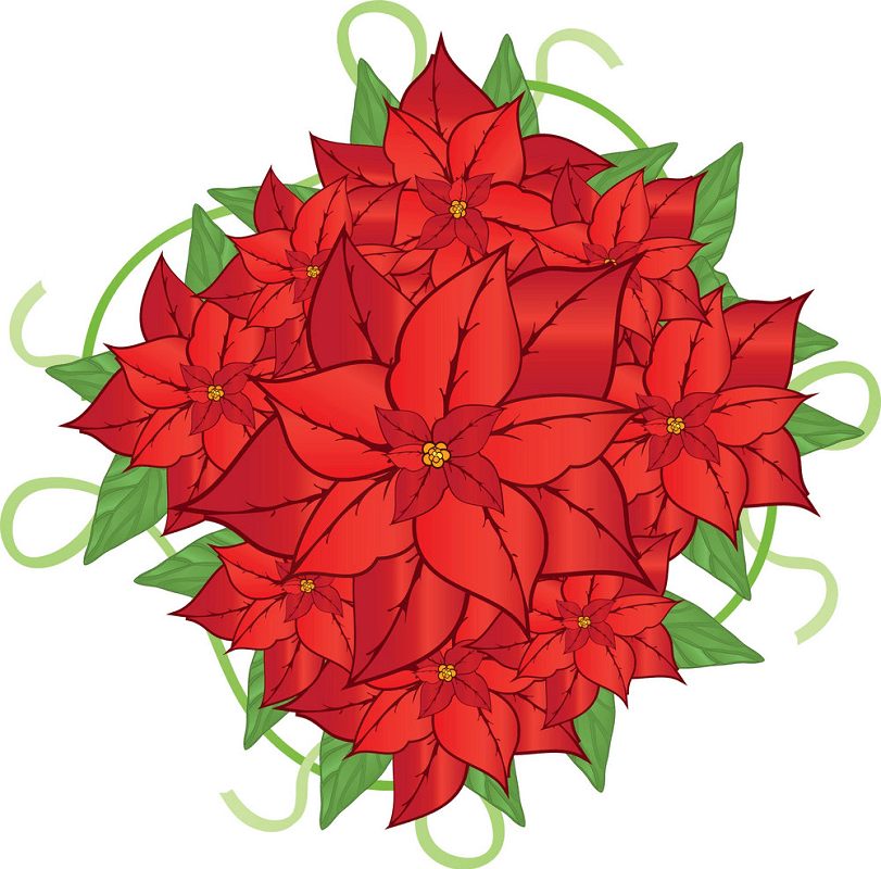 Poinsettia clipart png