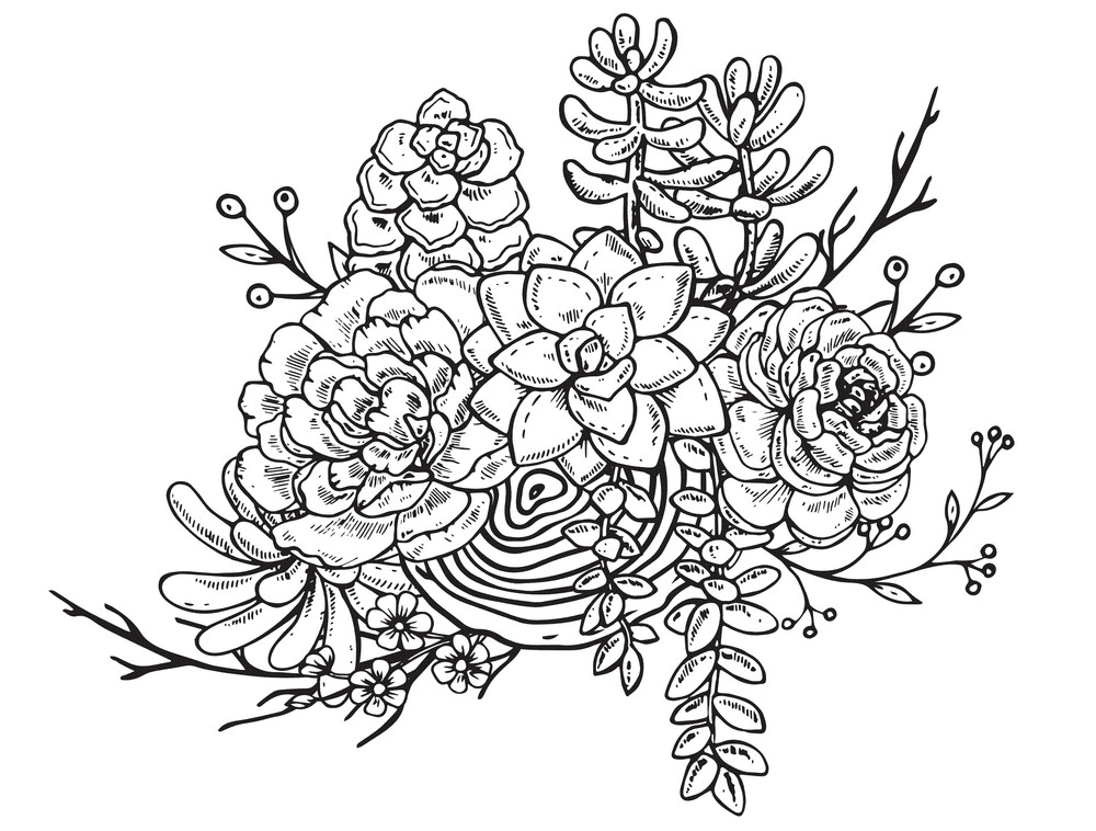 Succulent Clipart Black and White 3