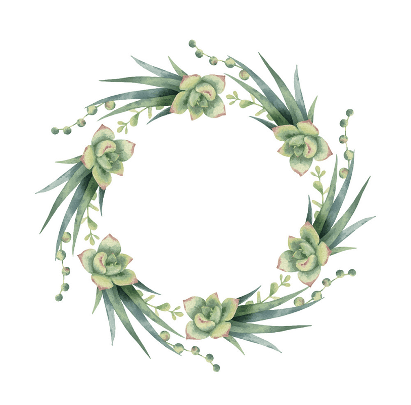 Succulent Wreath clipart png