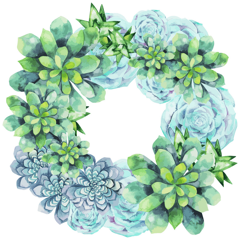 Succulent Wreath clipart