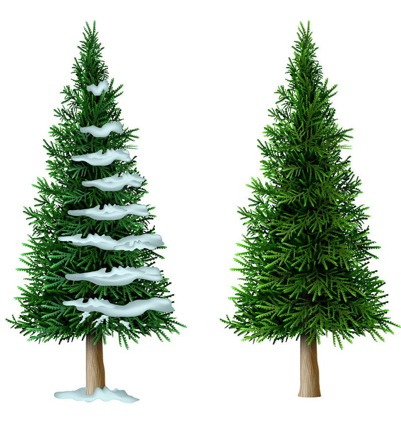 Download Pine Tree clipart free