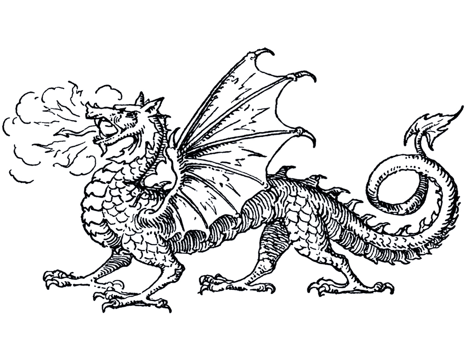 Dragon Black and White clipart png