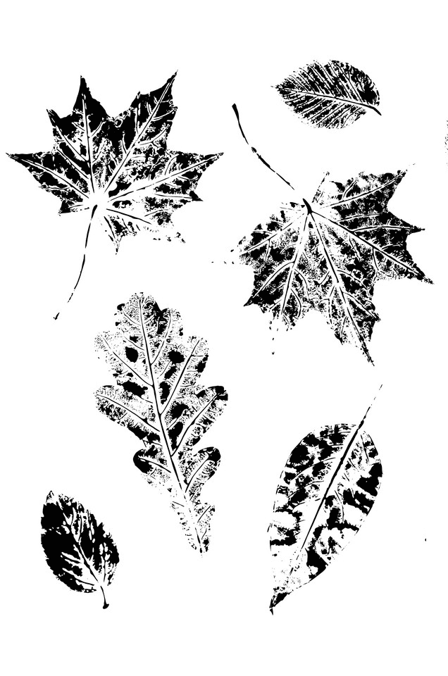 Fall Leaves Clipart Black and White free