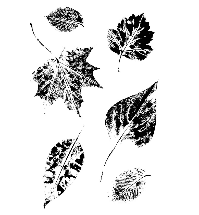 Fall Leaves Clipart Black and White picture