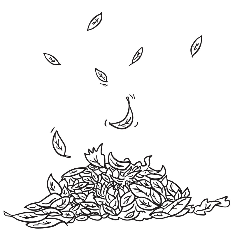 Fall Leaves Clipart Black and White png