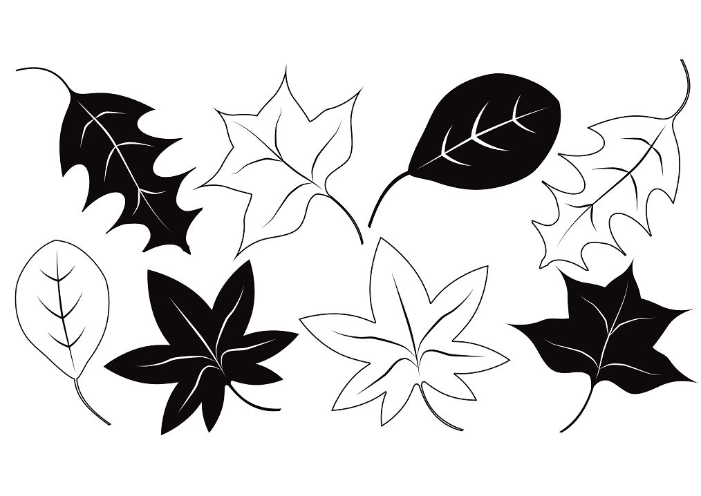 Fall Leaves Clipart Black and White