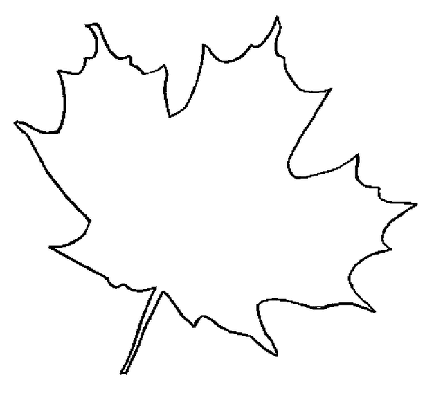 Fall Leaves Clipart Outline 4