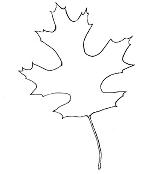 Fall Leaves Clipart Outline 6