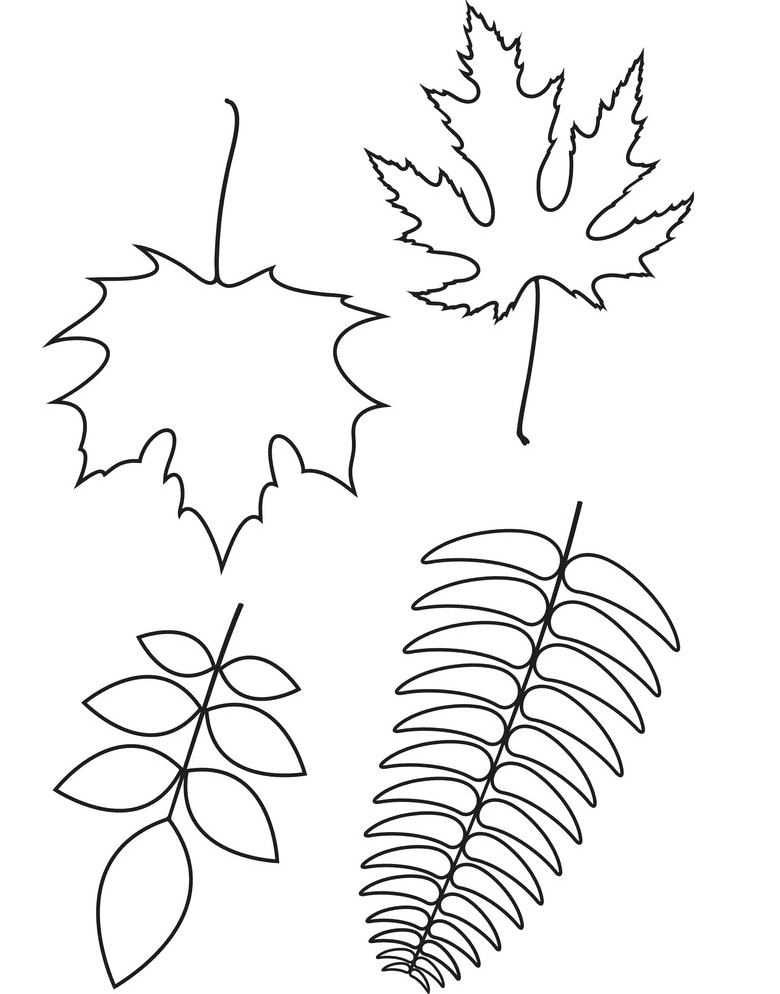Fall Leaves Clipart Outline free
