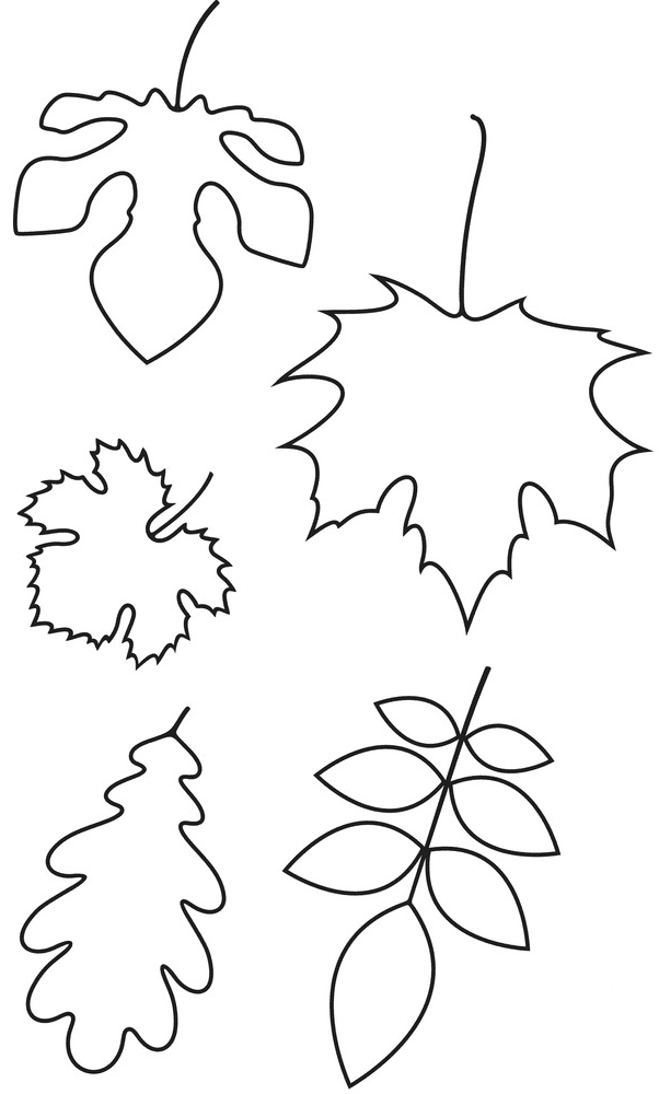 Fall Leaves Clipart Outline