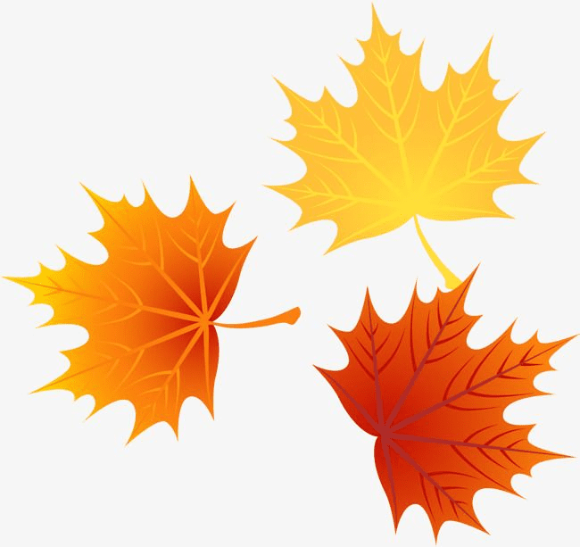 Fall Leaves clipart 3