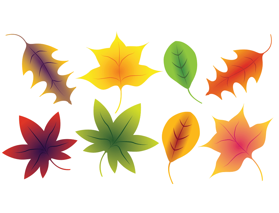Fall Leaves clipart 4