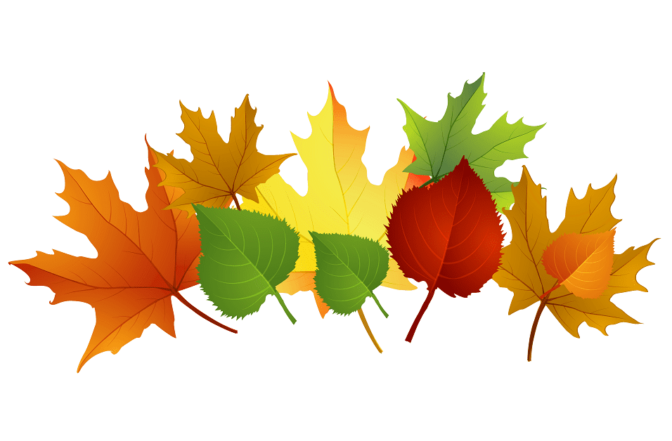 Fall Leaves clipart 5