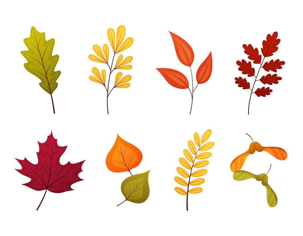 Fall Leaves clipart png 1