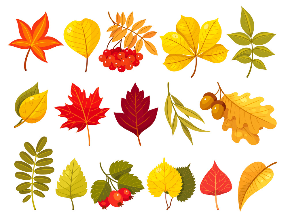 Fall Leaves clipart png 2