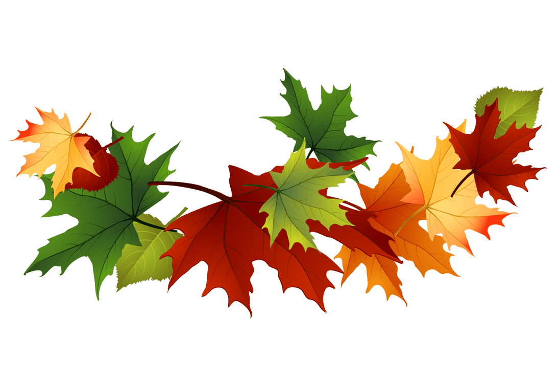 Fall Leaves clipart png 3