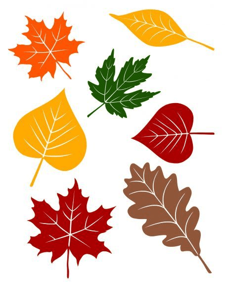 Fall Leaves clipart png 4