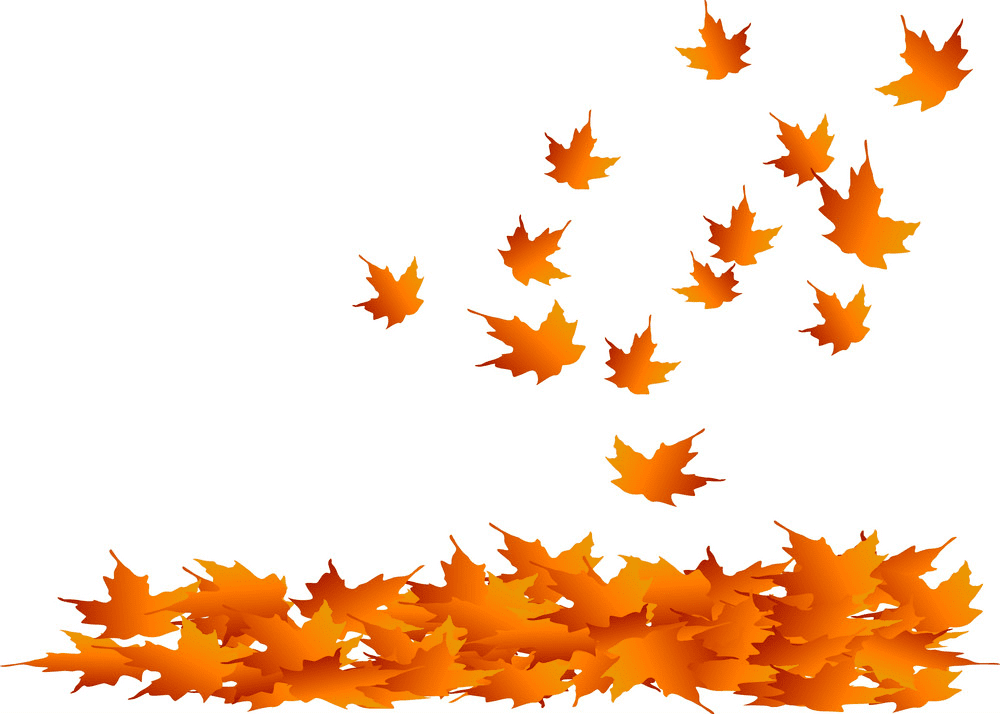 Fall Leaves clipart png 5