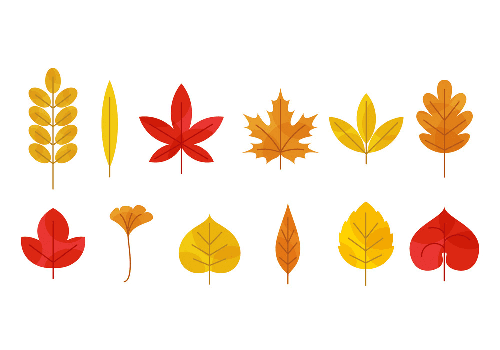 Fall Leaves clipart png download