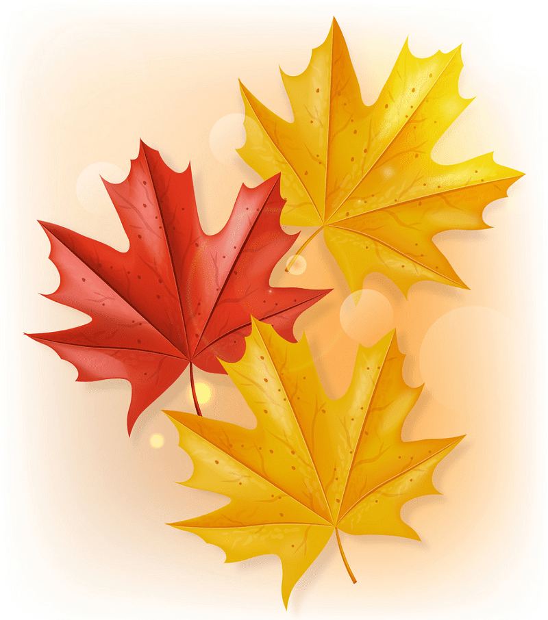 Fall Leaves Clipart