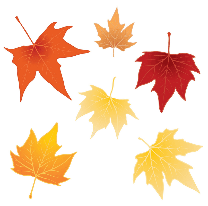 Fall Leaves clipart png