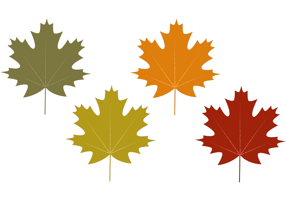 Fall Leaves clipart transparent 1
