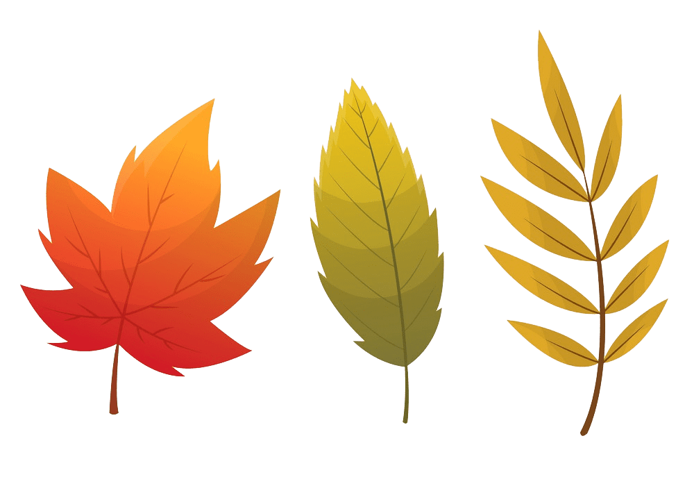Fall Leaves clipart transparent 2
