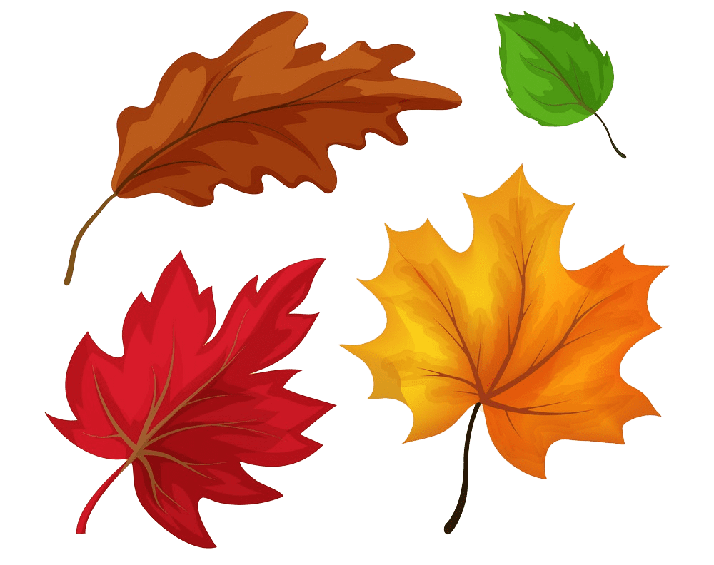 Fall Leaves clipart transparent 3