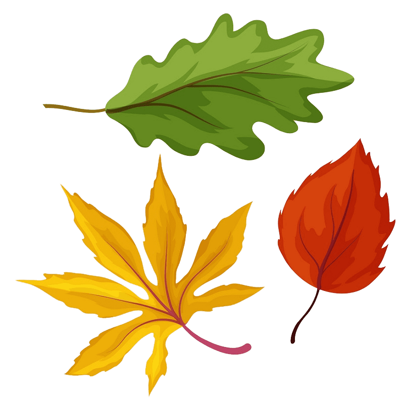 Fall Leaves clipart transparent 4
