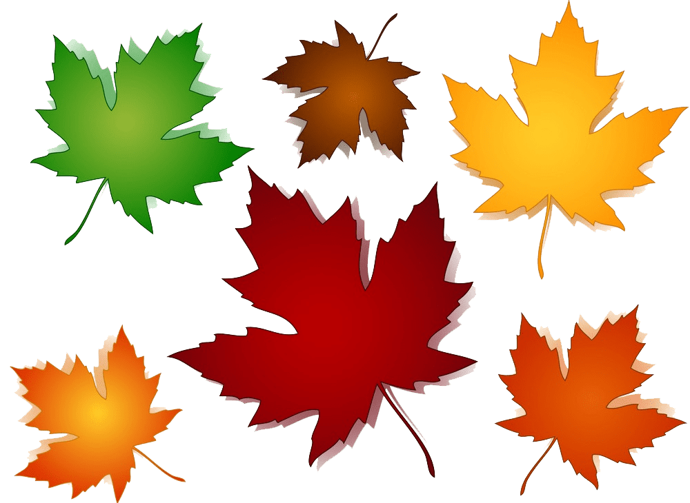 Fall Leaves clipart transparent background 2