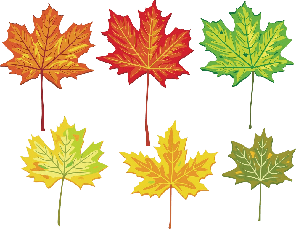 Fall Leaves clipart transparent background 3