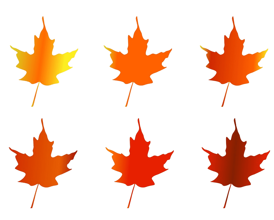 Fall Leaves clipart transparent background 4
