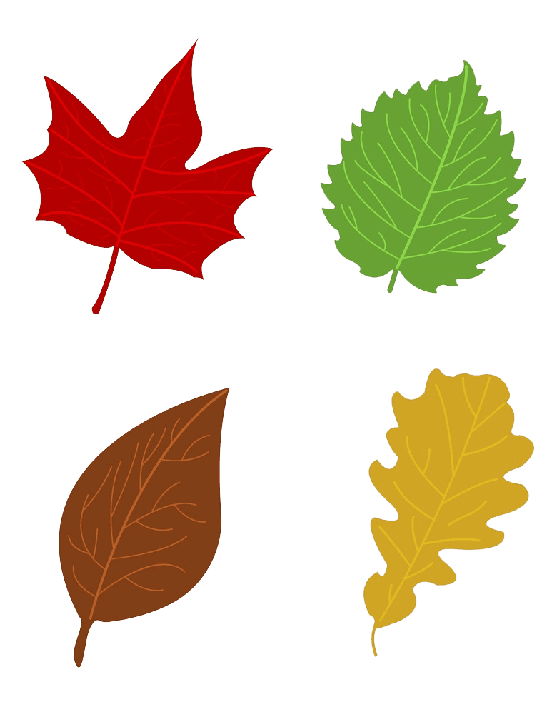 Fall Leaves clipart transparent
