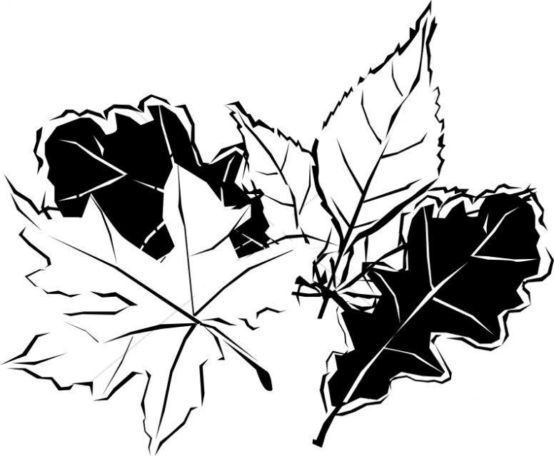 Free Fall Leaves Clipart Black and White