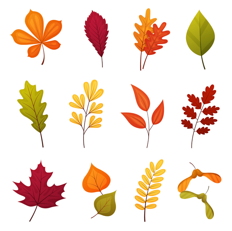 Free Fall Leaves clipart image