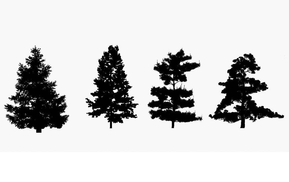 Pine Tree Silhouette clipart 1