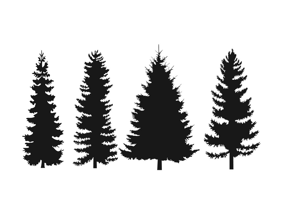 Pine Tree Silhouette clipart 5