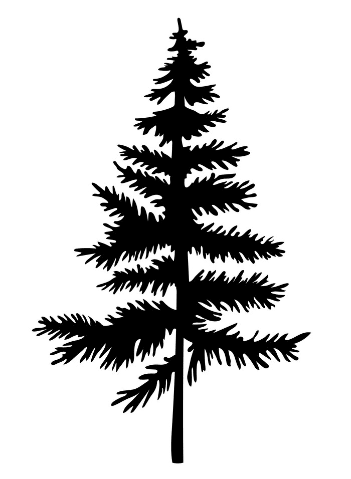 Pine Tree Silhouette clipart 6