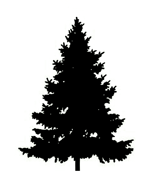 Pine Tree Silhouette clipart 9