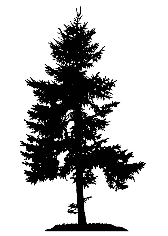 Pine Tree Silhouette clipart free
