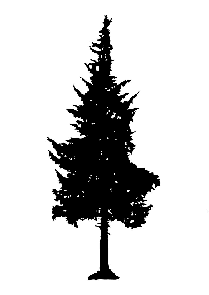 Pine Tree Silhouette clipart png